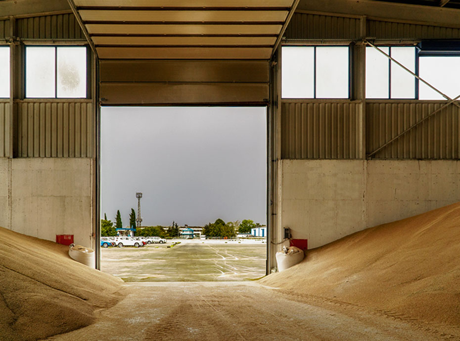 Agro bulk handling - season 2022